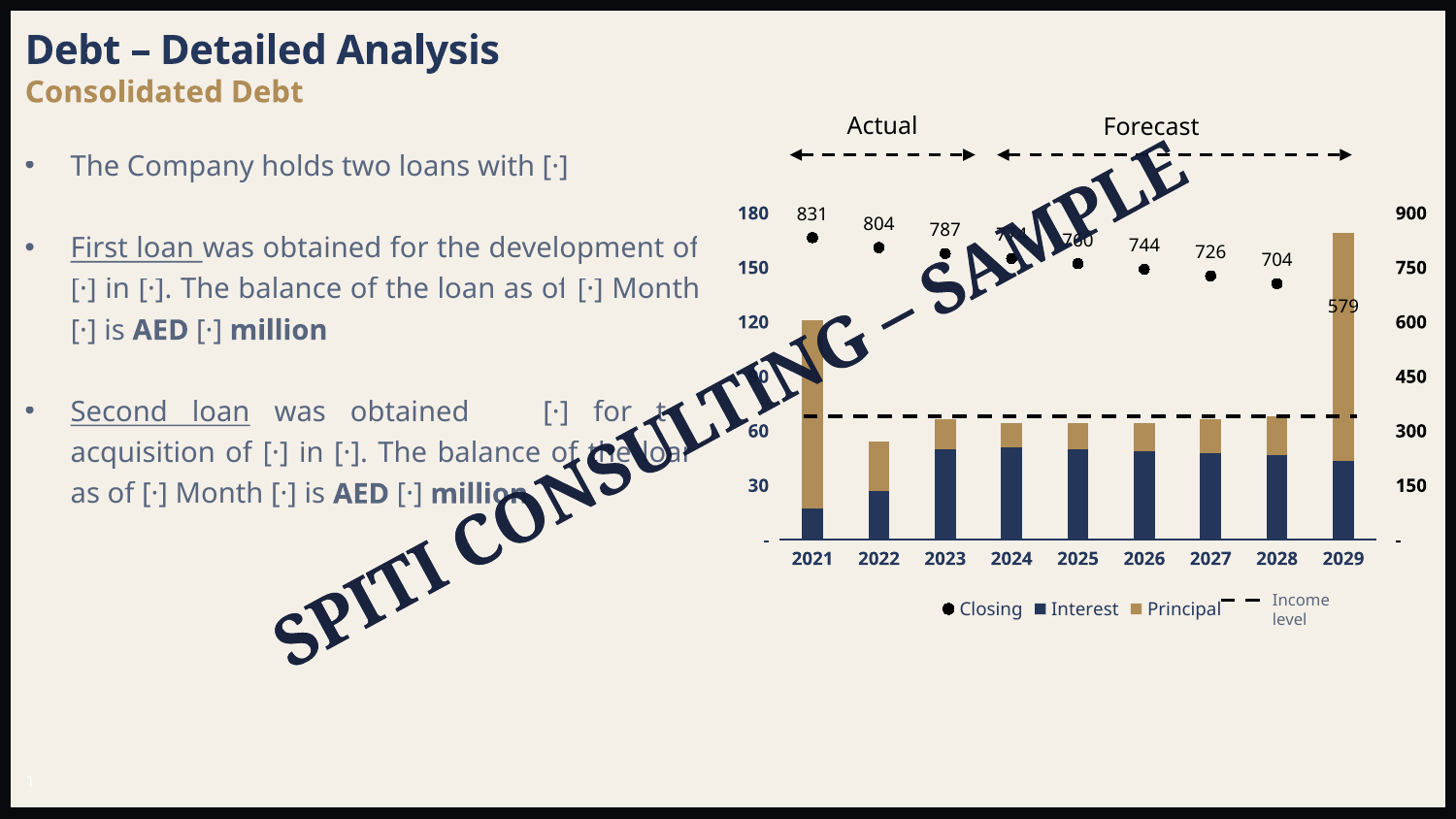 Illustrative consolidated debt analysis presentation with Spiti Consulting Sample watermark
